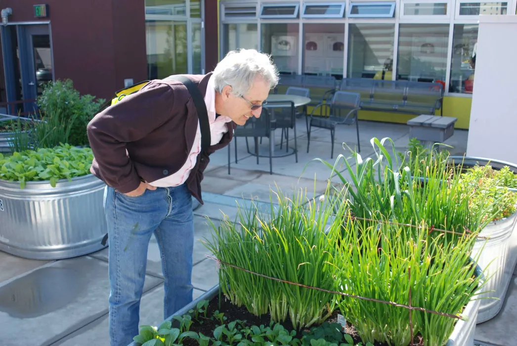 A smiling white man with white hair, wearing jeans and a messenger bag, bending over a bountiful garden bed. 