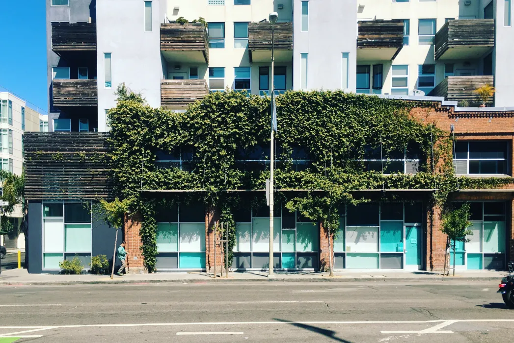 Detail of the creeping fig growing up the side of the building at Folsom-Dore Supportive Apartments in San Francisco, California.