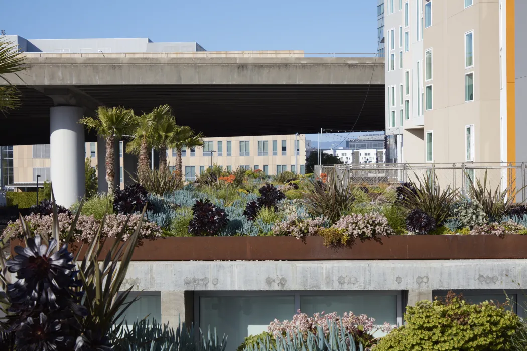 Exterior view of Potrero 1010 in San Francisco, CA.