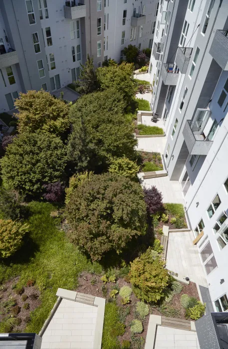 Courtyard view of Potrero 1010 in San Francisco, CA.