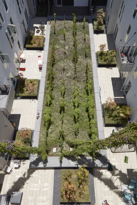 Courtyard view of Potrero 1010 in San Francisco, CA.