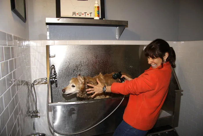 Women washing her dog in the "laundramutt" at Pacific Cannery Lofts in Oakland, California.