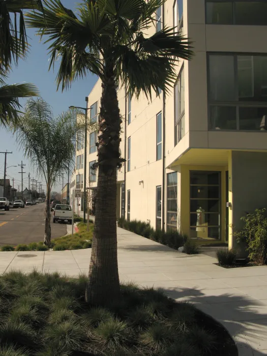 Looking south down Pine Street with work/live units at Pacific Cannery Lofts in Oakland, California.