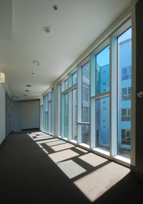 Sunlight shines through custom windows inside Crescent Cove in San Francisco.