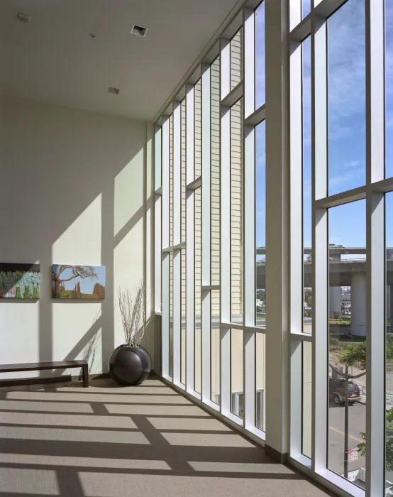 Sunlight shines through custom windows inside Crescent Cove in San Francisco.