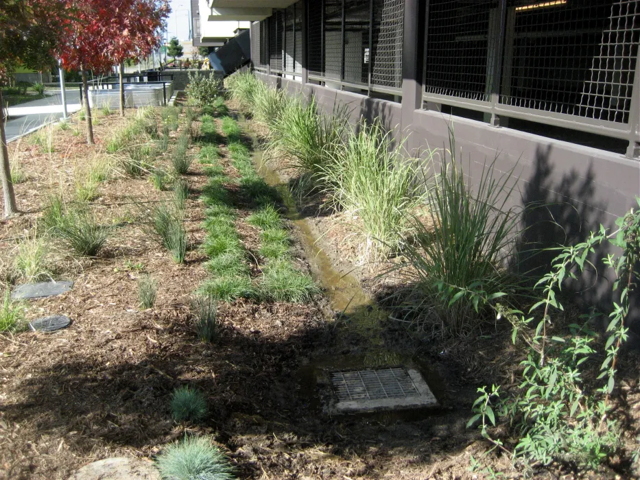 Exterior view of the vegetation along Ironhorse at Central Station in Oakland, California.