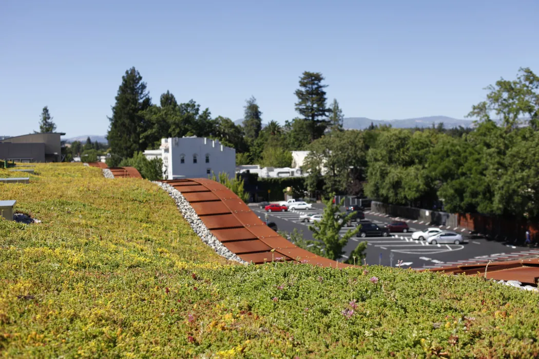 Green roof at h2hotel in Healdsburg, Ca.