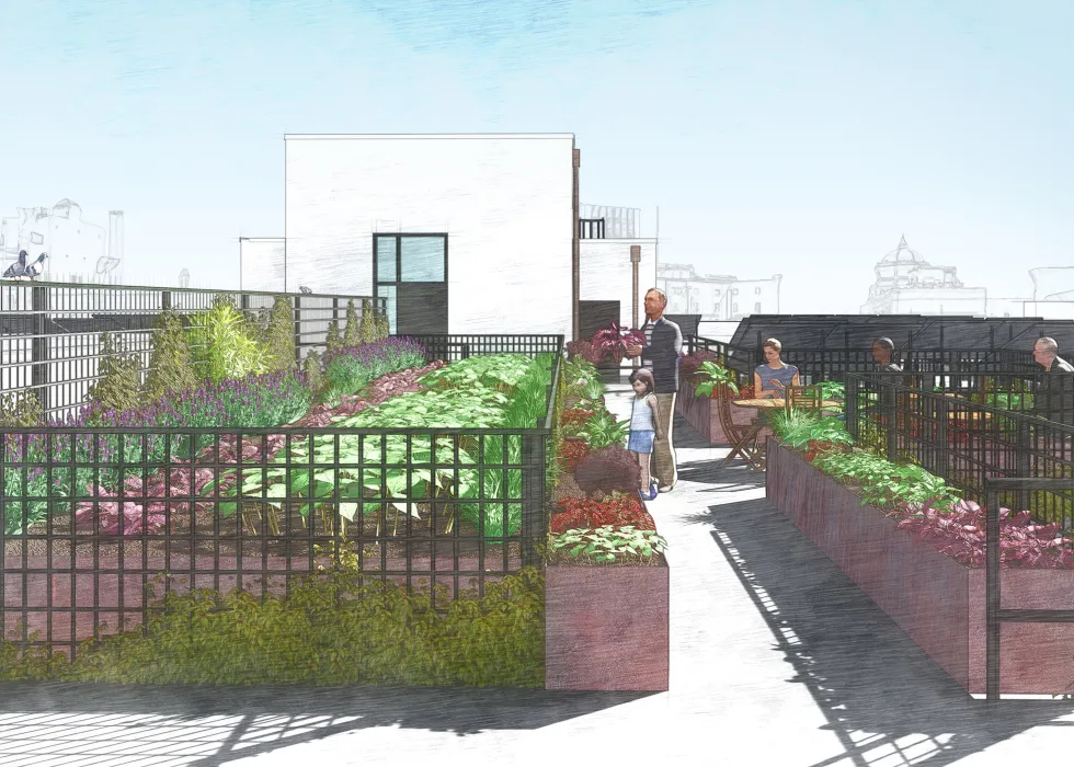 A computer-rendered view of the roof top garden at 222 Taylor Street, affordable housing in San Francisco