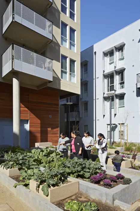 Garden beds in the courtyard at Station Center Family Housing in Union City, Ca.