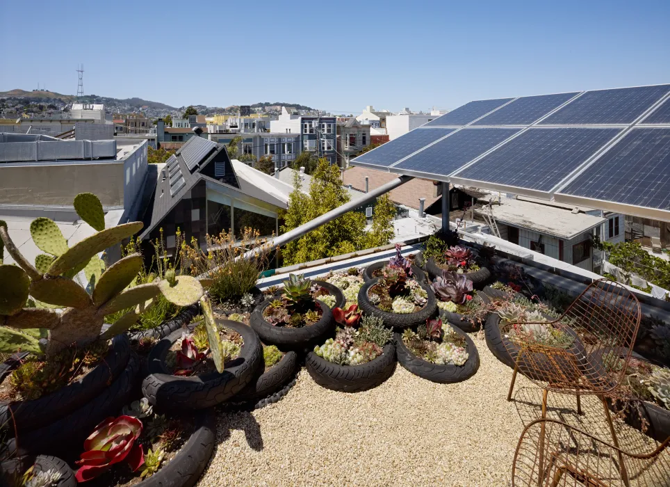 Vegetated roof, with motorcycle tires as the planters on Zero Cottage in San Francisco.