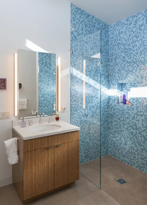 Guest bathroom with sink and glass shower covered in blue tile inside Healdsburg Rural House in Healdsburg, California.