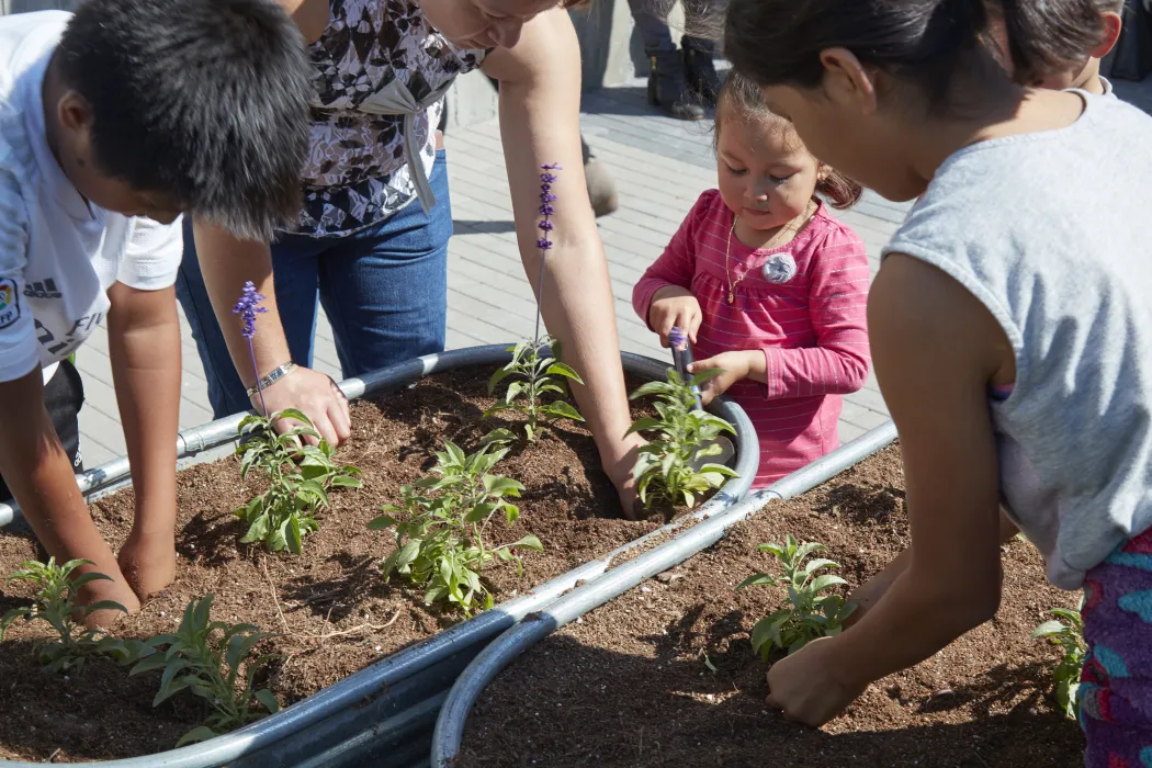 Community garden at Onizuka Crossing Family Housing in Sunnyvale, California.