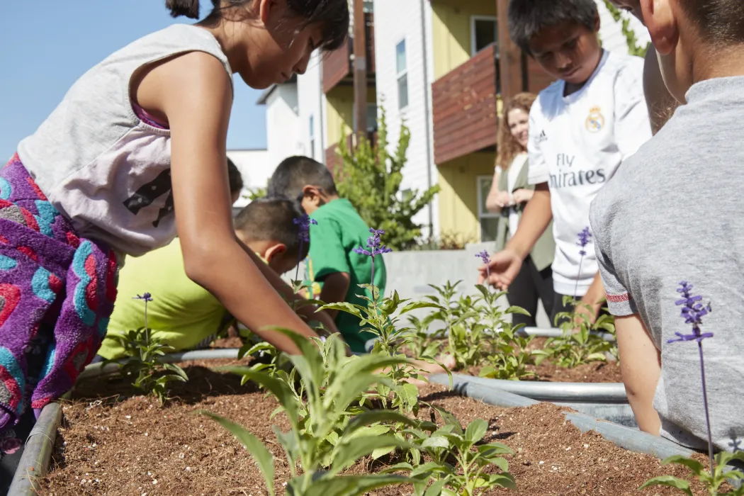 Community garden at Onizuka Crossing Family Housing in Sunnyvale, California.