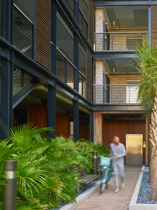 Courtyard view of Williams Terrace in Charleston, SC.