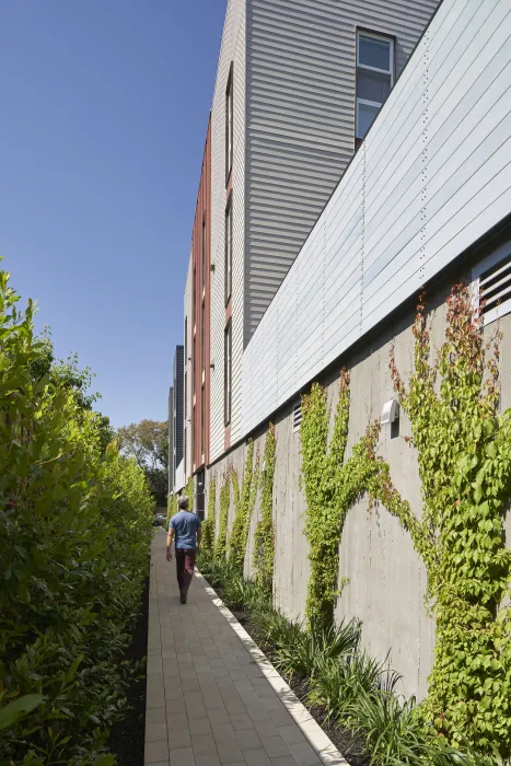 Green pathway at Edwina Benner Plaza in Sunnyvale, Ca.