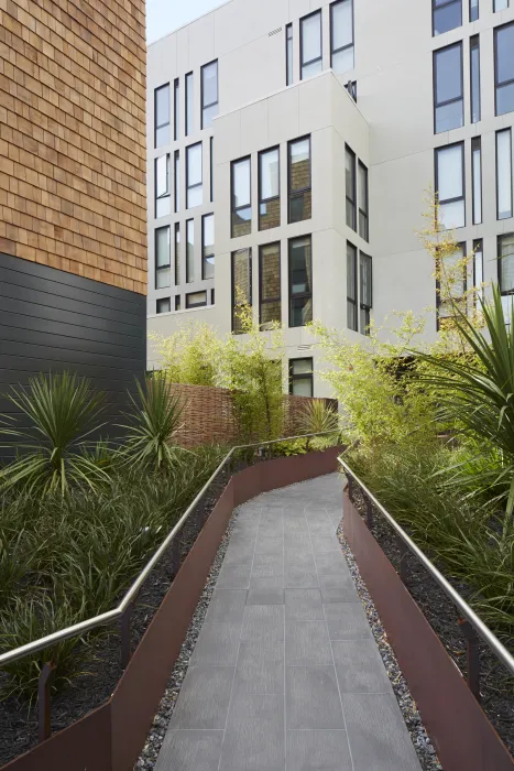 Courtyard view of 300 Ivy in San Francisco, CA.