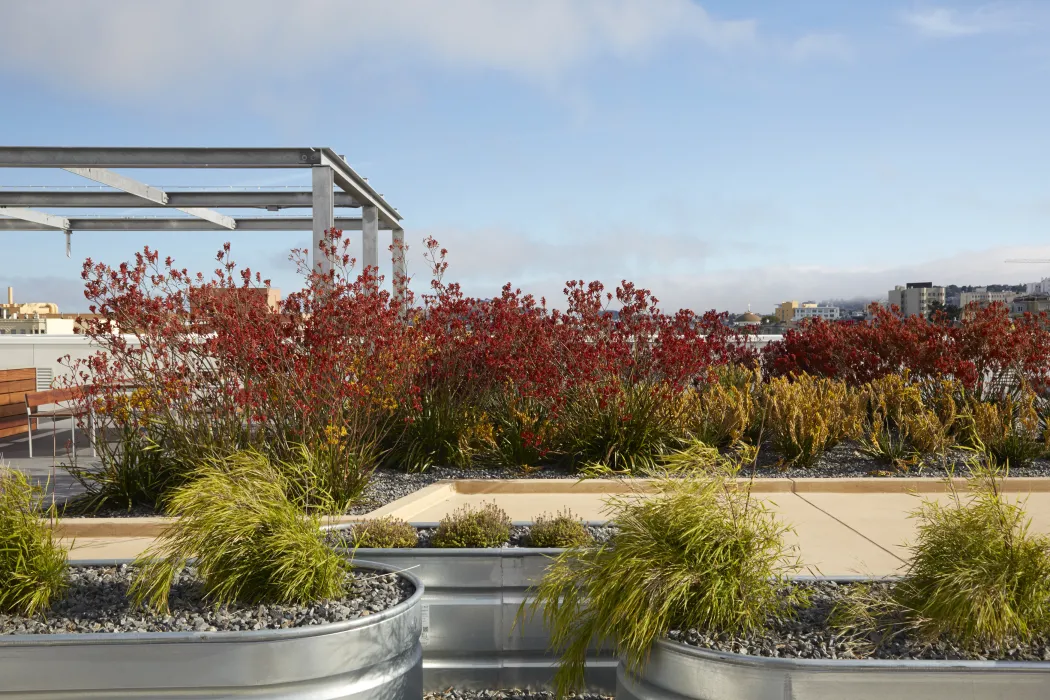 Exterior view of rooftop at 300 Ivy in San Francisco, CA.