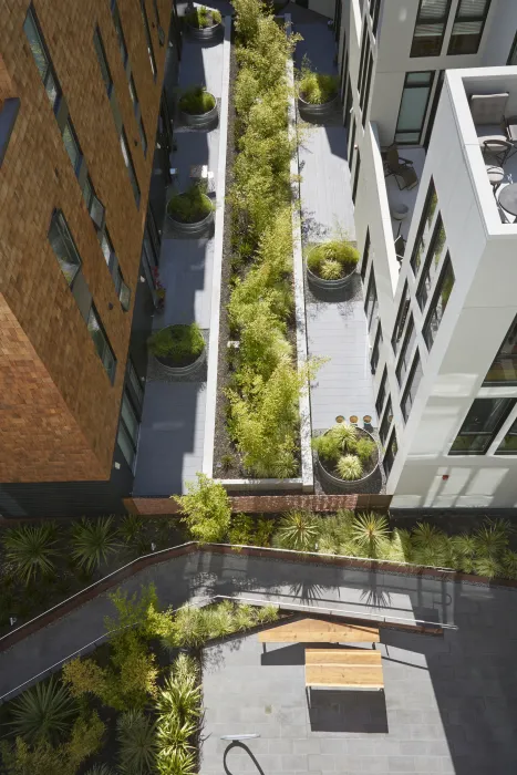 Aerial courtyard view of 300 Ivy in San Francisco, CA.