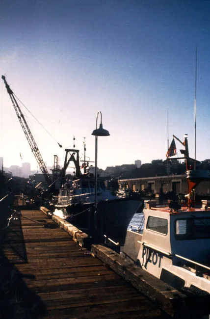 View of the pier by San Francisco Bar Pilots in San Francisco.