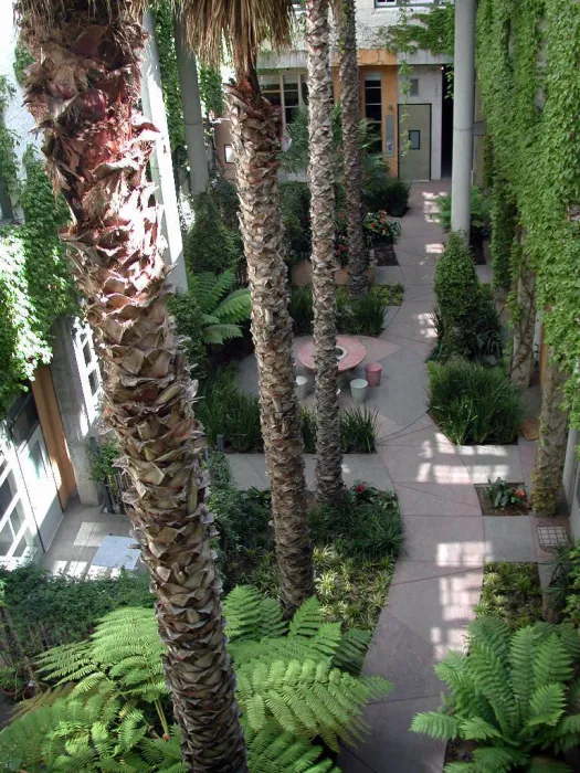 View of the courtyard from the second floor of the Clock Tower Lofts in San Francisco.
