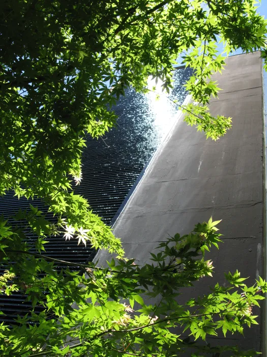 View of the greenery and fountain wall at 1500 Park Avenue Lofts in Emeryville, California.