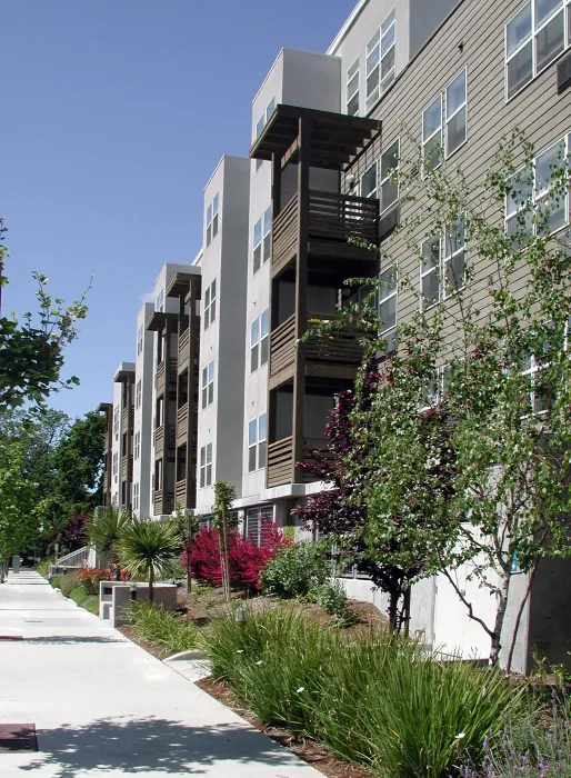 Sidewalk along Las Juntas Way at Coggins Square in Walnut Creek, California.