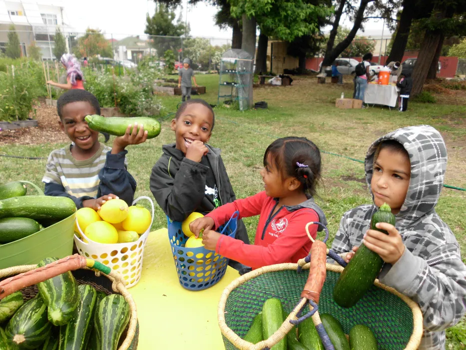 Acta Non Verba Farm harvest at Tassafaronga Village in East Oakland, CA. 