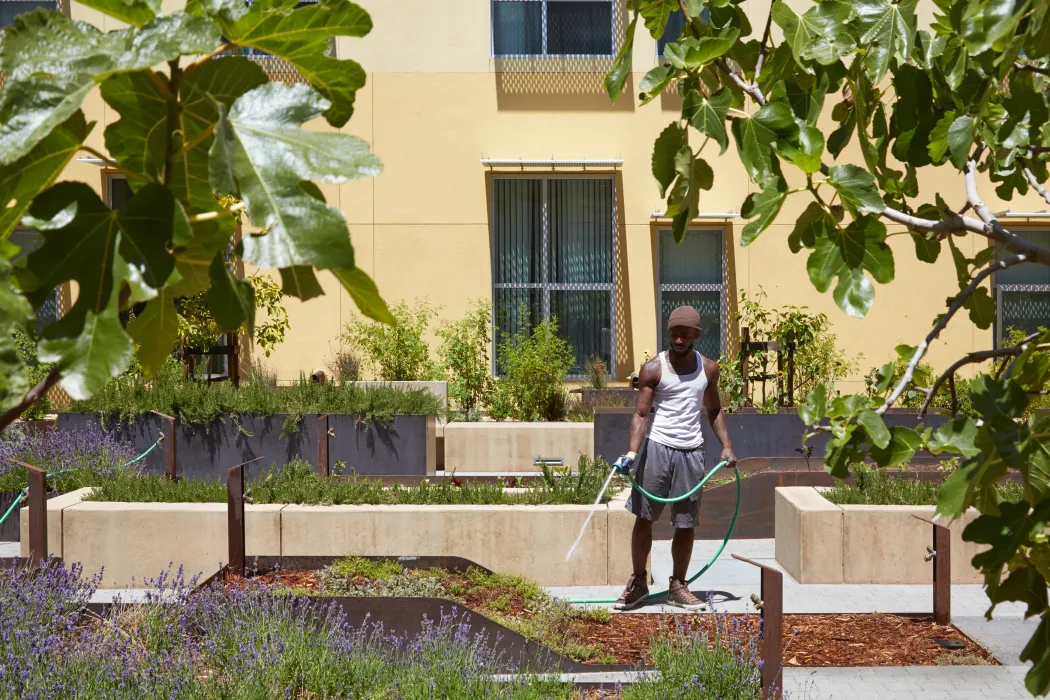 Man watering the community garden at Bayview Hill Gardens in San Francisco, Ca.