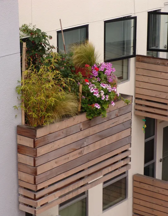 Various plants on a balcony at Folsom-Dore Supportive Apartments in San Francisco, California.