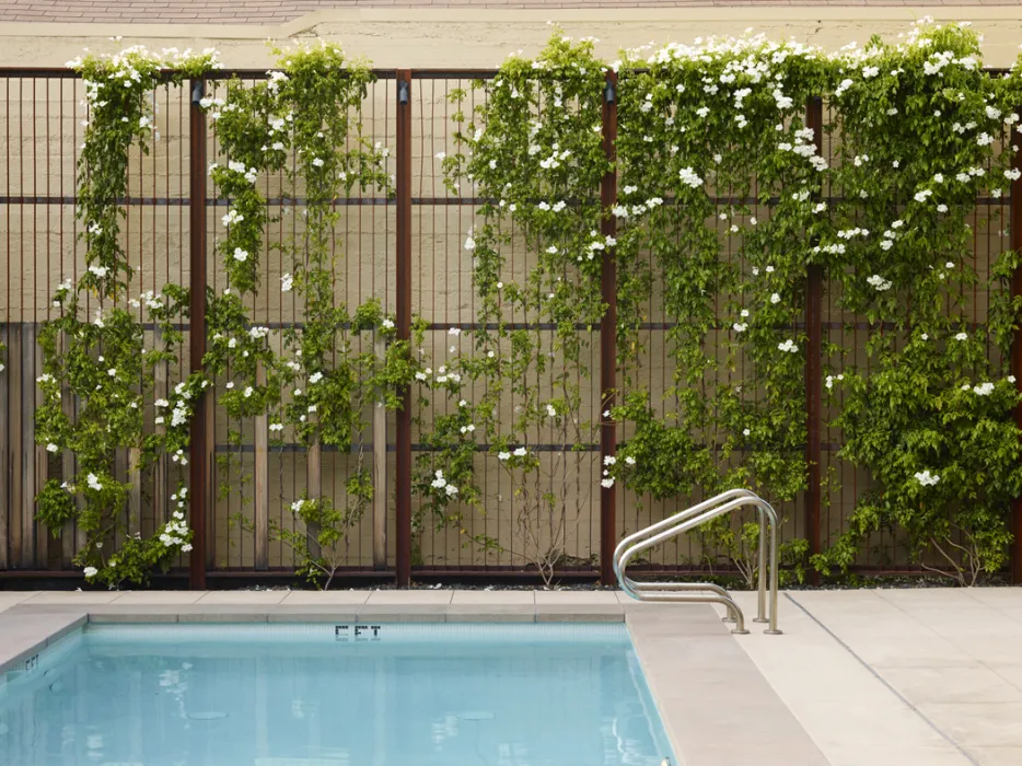 Outdoor pool at h2hotel in Healdsburg, Ca.