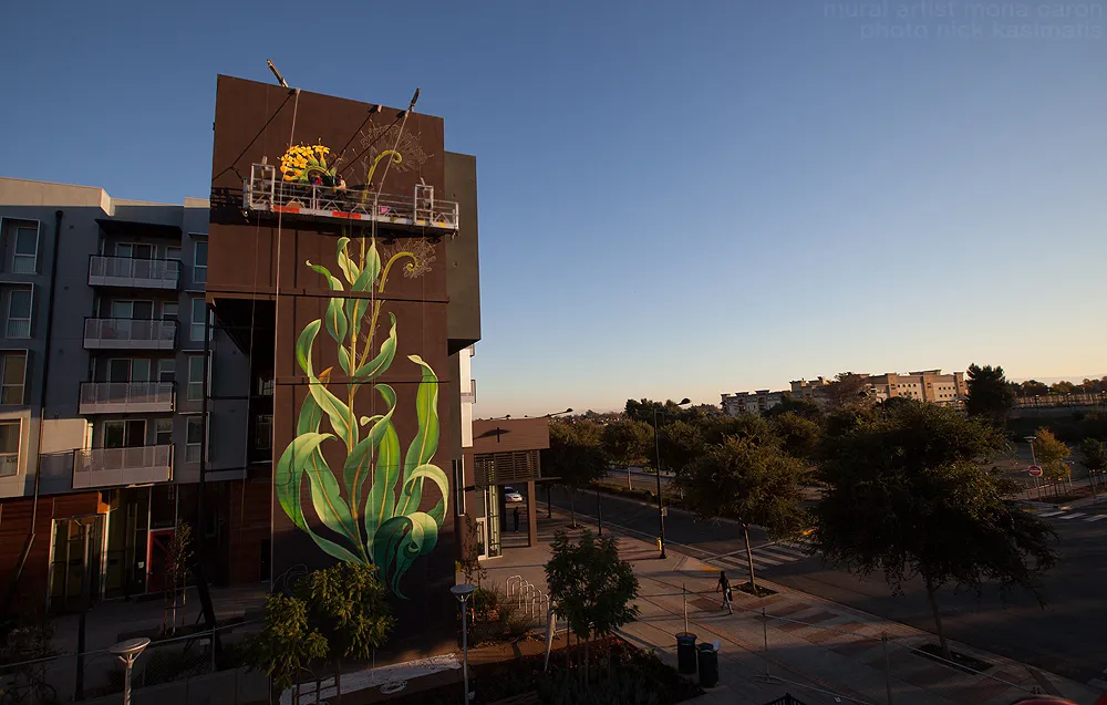 Painting in progress of the large sunflower mural at Station Center Family Housing in Union City, Ca.