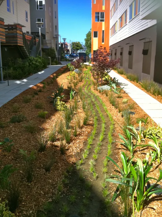 Pedestrian walkway at Armstrong Place Senior in San Francisco.