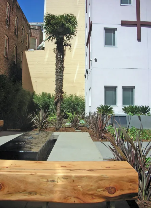 View of courtyard benches, palm tree, and planters on a sunny day. 