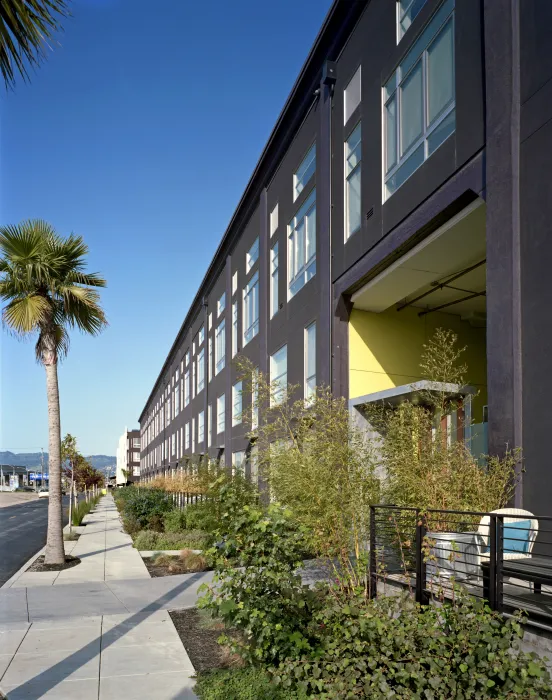 Exterior view of the west facing elevation with stoop entries at Pacific Cannery Lofts in Oakland, California.