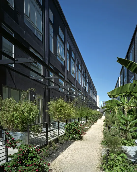 Resident path with greenery at Pacific Cannery Lofts in Oakland, California.