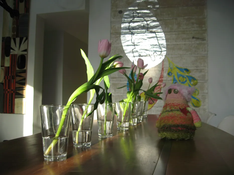 Tulips on a table at  Shotwell Design Lab in San Francisco.