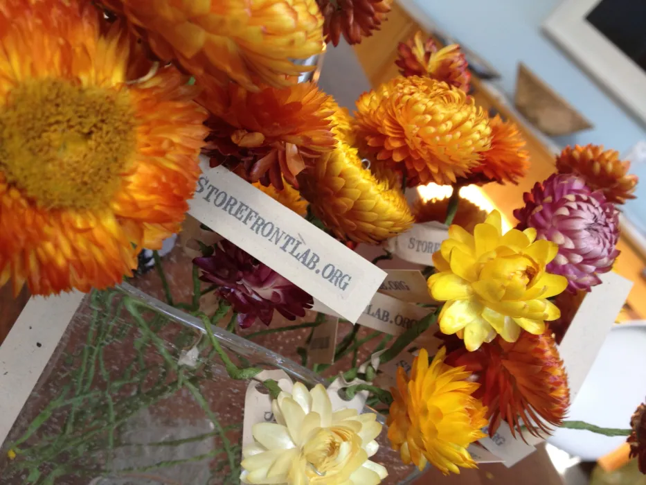 Detail of orange and pink flowers with a note that says StoreFrontLab.org