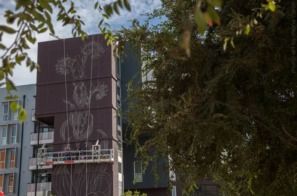 Construction and tracings of the large flower mural at Station Center Family Housing in Union City, Ca.