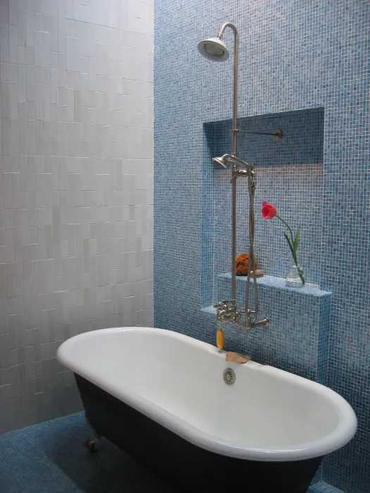 Bathtub and shower at Shotwell Design Lab in San Francisco.