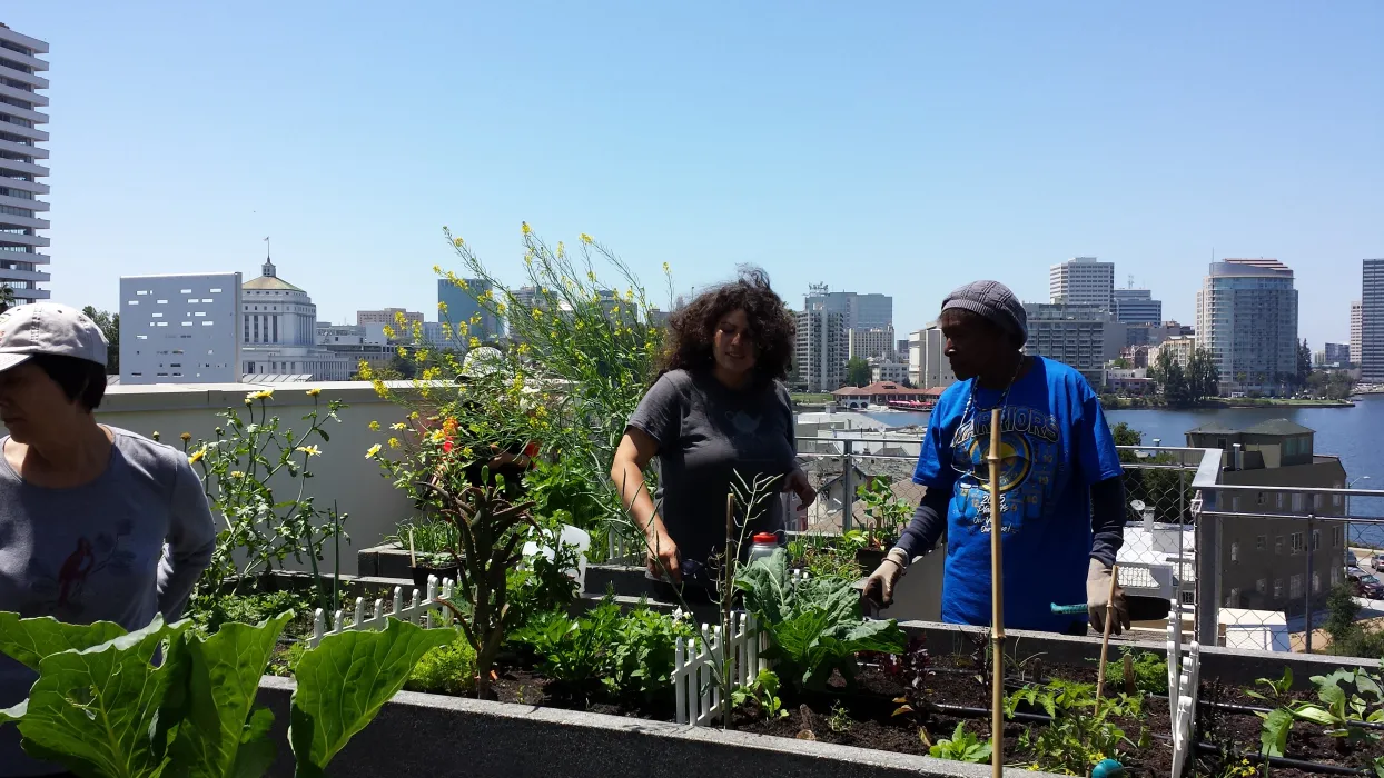 Residents at the rooftop garden in Lakeside Senior Housing in Oakland, Ca