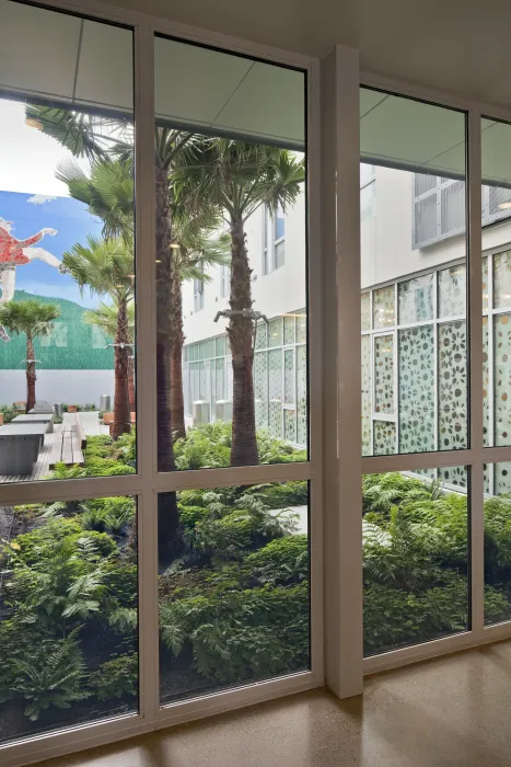 View through glass corridor wall to planted courtyard