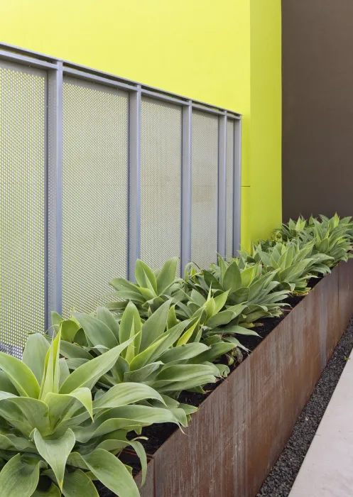 Weathering-steel planter and agaves on the rooftop of Richardson Apartments in San Francisco.