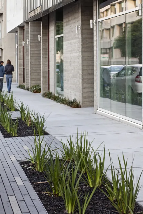 Street plantings at both the curb and building edge of Richardson Apartments in San Francsico.