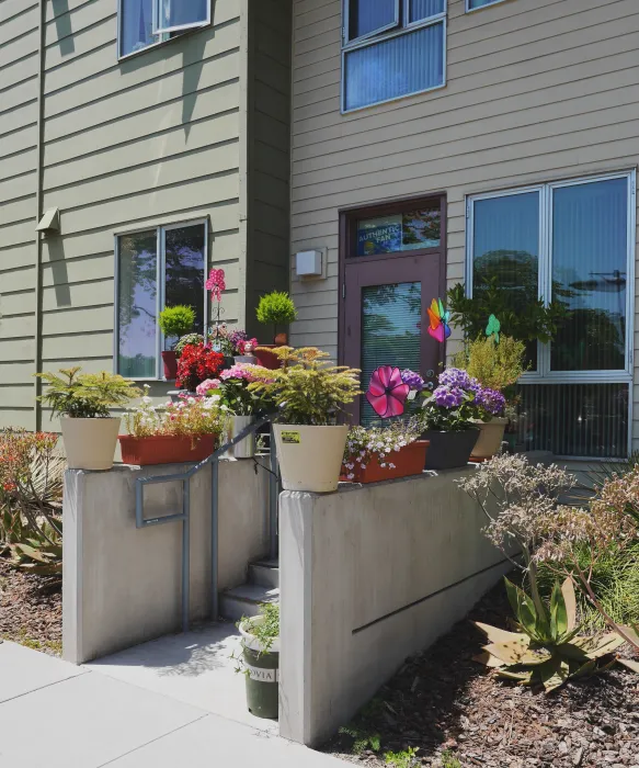 Stoop decorated with plants at Crescent Cove in San Francisco.