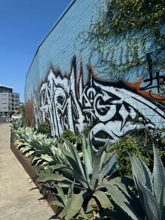 Exterior wall of the DBA_OAK office.