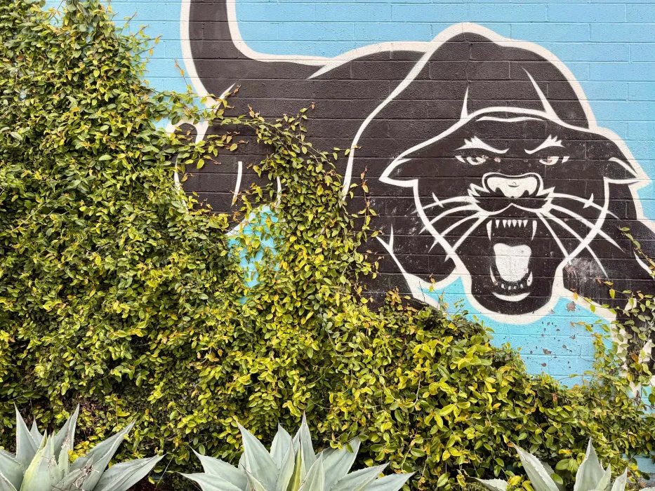 Exterior wall of the DBA_OAK office.