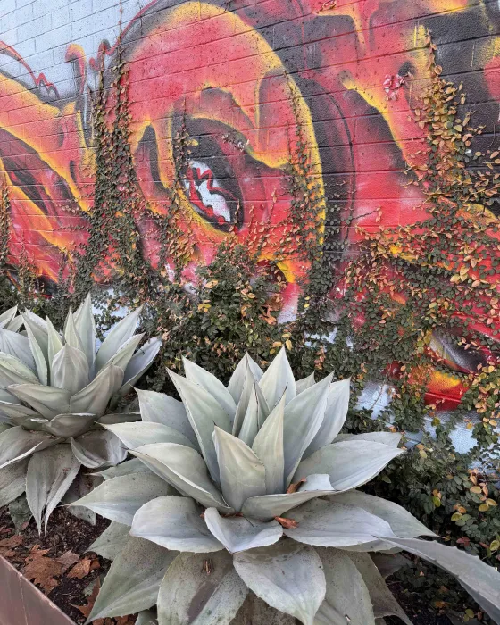 Exterior wall of the DBA_OAK office.