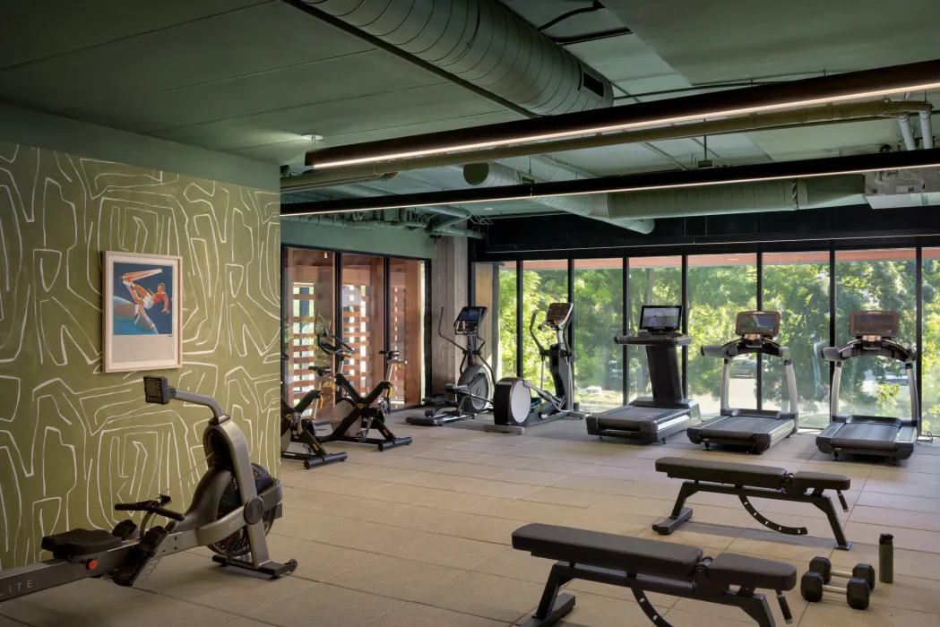 Fitness room at felix.