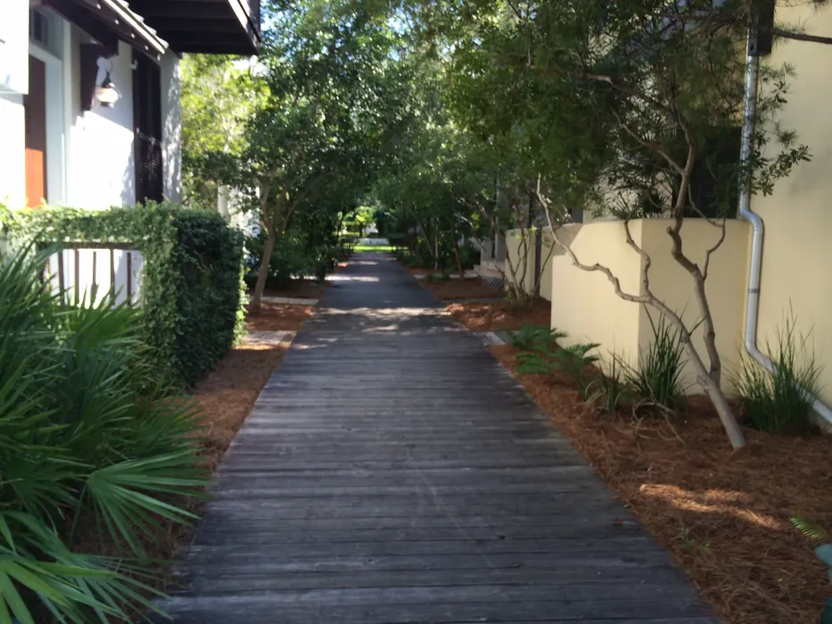 path.