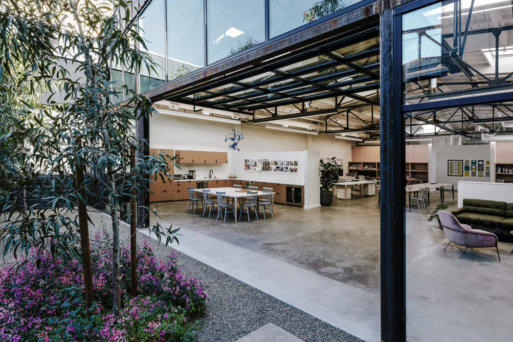 View from courtyard with tree, pink flowers and gravel into glass and black steel frame open office space